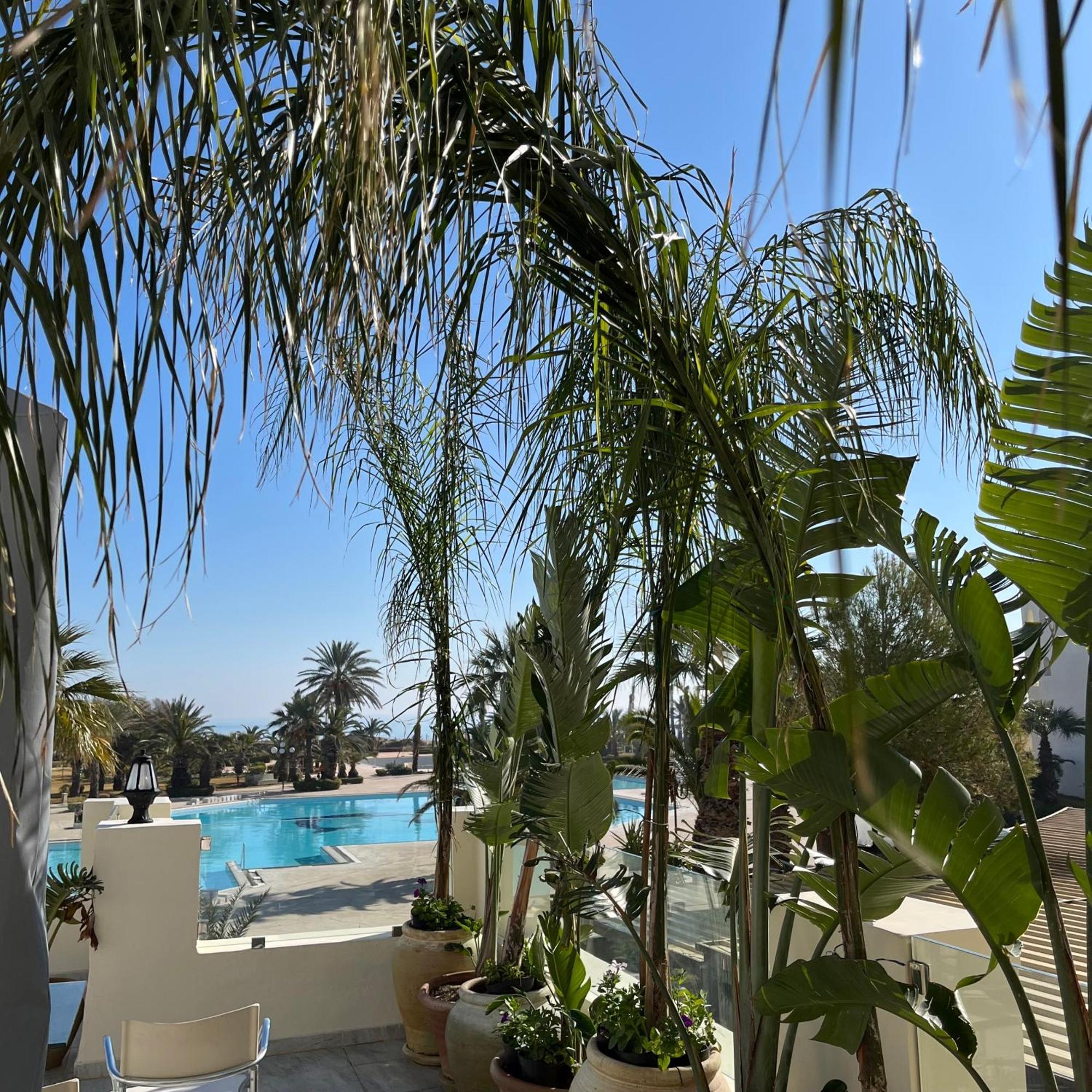 Sentido Marillia Resort & Spa Yasmine 外观 照片